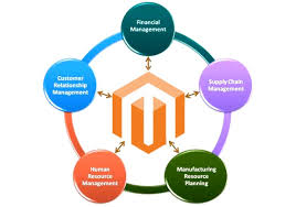 Enterprise Resource Planning: Magento 2 ERP Integration | FireBear
