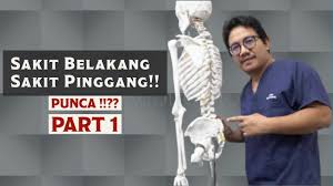 Sakit buah pinggang tahap 4 jalani hidup lebih baik ohcantik com. Alpharad Sub Count Chu Tanda Sakit Buah Pinggang Tahap 4