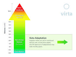 ketones and nutritional ketosis basic terms and concepts