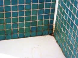 All kinds of things get tracked into your bathroom and onto the floor. Ceramic Tile Cleaning Information