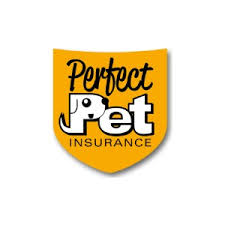 Its perfect circle jewelry insurance policy offers comprehensive, worldwide coverage that jewelers mutual insurance company is proud to introduce perfect circle jewelry insurance, which makes. 10 Off Perfect Pet Insurance Coupon Promo Code Apr 2021