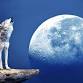 Wolf Full Moon Mediation with Sound Bath event image