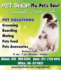 Vally pet shop (m) sdn bhd (melaka). My Pets Bowl Melaka Muslim Friendly Pet Groomer Home Facebook