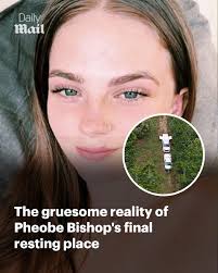 Heartbreaking 💔 RIP Phoebe. Read more: https://trib.al/B8tzyWv