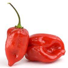 We did not find results for: Scotch Bonnet Peppers Produce Market Guide