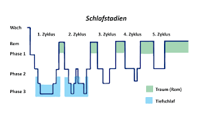 Gesunder Schlaf Schlafphasen Verstandlich Erklart