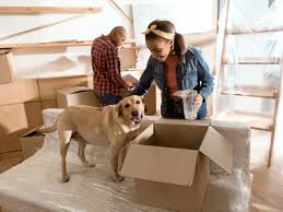Pest control procedures should not create a risk to food safety. The Conduct Rules Causing The Most Headaches In Sectional Title Schemes Home Owners Advice