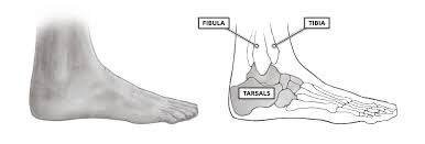 General instability of the ankle joint. Crossfit Movement About Joints Part 7 The Ankle