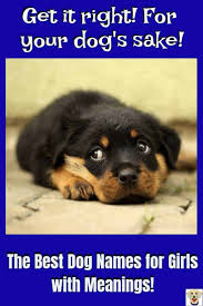 The world's cutest dog names can be found anywhere: Female Dog Names And Meanings Puppy Names Puppies Names Female Girl Dog Names