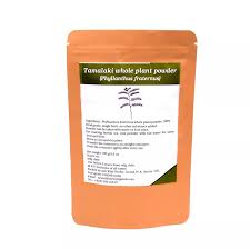 Image result for Phyllanthus fraternus