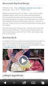 homemade dog food great for dogs