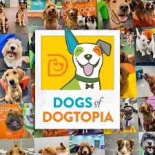 Looking for pet care services in the martinsburg west virginia area? Dog Daycare Dog Boarding Grooming Spa Dogtopia