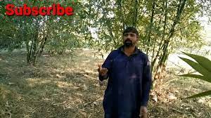 Check spelling or type a new query. 4inch Ktna Hota Ha Hi Gyz Dil Ktna Nadan H Facebook In One Inch How Many Mm Are There Doublefhunghaluminunzwindows