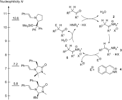 Guarda un uomo sopra la legge streaming gratis senza nessun limite di tempo e di qualità. Stereoselective Organocatalytic Addition Of Nucleophiles To Isoquinolinium And 3 4 Dihydroisoquinolinium Ions A Simple Approach For The Synthesis Of Isoquinoline Alkaloids Springerlink