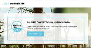 In total, 60,000 passes worth 80 euros will be issued between october and december, at a rate of 20,000 per month. Cdluwou61zuadm