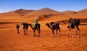 نتیجه جستجوی لغت [nomadic] در گوگل