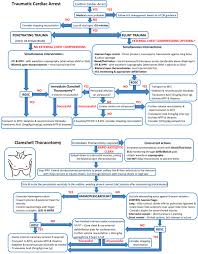 At and below the bundle of his. Algorithm For The Resuscitation Of Traumatic Cardiac Arrest Patients In A Physician Staffed Helicopter Emergency Medical Service Abstract Europe Pmc