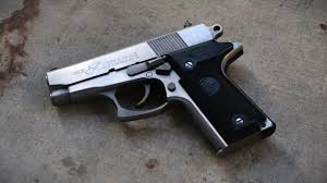 Image result for Grace Silver 1990 Colt