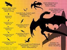 How Dragons Fly When Biology Trumps Physics Dragon Dragonfly Biology