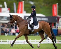 Olympic hero laura collett's gold medal comes eight years after an accident that nearly killed her and permanently blinded her in one eye. Event Rider Masters