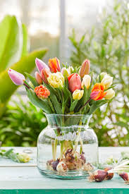 Hubsche Tulpendeko Fur Den Fruhling In 2020 Tulpen Wunderschon Dekoration