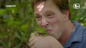 Tommy, paul sinha, freek vonk feat. Freek Vonk Grote Dieren Kleine Dieren Luckytv Youtube