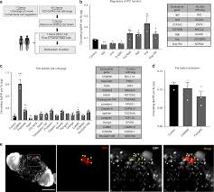 Check spelling or type a new query. Discovering Human Diabetes Risk Gene Function With Genetics And Physiological Assays Nature Communications