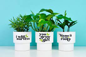 Free Free 254 Flower Pot Sayings Svg SVG PNG EPS DXF File