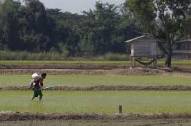 The malay reserve land was the land that provided by the government for the malays in malaysia as the of land. Thai Farmers Brave Bullets Prison For Community Land Titles Life Malay Mail