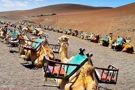 El museo arqueológico de lanzarote es un viaje a los orígenes del pueblo de lanzarote y pone en valor el rico patrimonio etnográfico. Que Hacer En Lanzarote Ihoppers