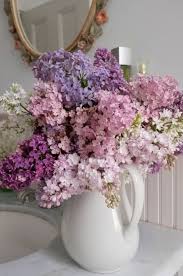 Le Temps Qui Passe Dans Le Jardin D Eugenie Bouquet De Lilas Lilas Lilas Fleur
