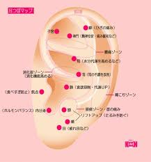 耳つぼマップ 耳つぼダイエット 耳つぼジュエリー 健康と美容