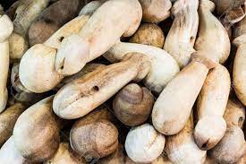 De la noche a la mañana, había aparecido un pene gigante tallado de madera. Pene Forma Penis Talla De Madera En Combinacion Con El Fondo Fotos Retratos Imagenes Y Fotografia De Archivo Libres De Derecho Image 24634811