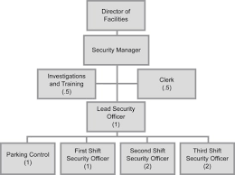 organization chart an overview sciencedirect topics