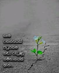 Maybe you would like to learn more about one of these? Viraha Gee à·€ à¶»à·„ à¶œ Sinhala Sad Songs Facebook