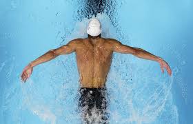 Kết quả hình ảnh cho bướm