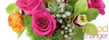 Delivered in every country in europe. Bill Doran Company Des Moines Home Facebook
