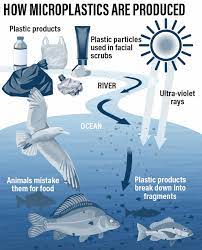 How Plastic Is Getting Into Our Food And What It Means For Us The National