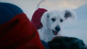 How Superman’s Dog Krypto Sparked a 500% Surge in Dog Adoptions — and Melted Hearts Worldwide