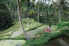 Nếu chiến thắng trước indonesia, những chú hổ có thể leo lên hlv simon mcmenemy không góp mặt trong thành phần đội tuyển indonesia hành quân tới malaysia để chuẩn bị cho trận đấu gặp chủ nhà tại vòng loại world cup 2022 khu vực châu á ngày 19/11 tới. Malaysia Vs Indonesia A Traveller S Guide To Choosing
