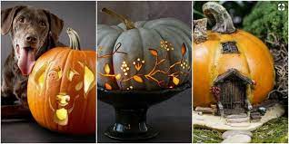 These funny and scary designs are perfect for beginners. 23 Pumpkin Carving Ideas For Countryside Lovers Halloween Ideas