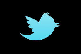 Image result for twitter logo black