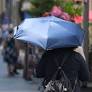 Germany Hits New Record Heat of 41.5°C, Straining Society and Environment