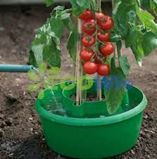 Crowding a tomato seedling is one of the quickest ways to kill a tomato plant. China Containers To Grow Tomatoes Tomato Grow Pot China Growing Tomato Plants In Pots And Tomato Grow Pots Price