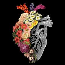 The blonde couldn't help but smile just a little at how utterly bitter the all his truths planted in the watered ground, growing every more truthful and expressive but silent and he'll make sure of it. Flower Heart Spring Anatomical Heart Art Flower Heart Art