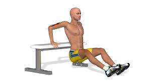 Gardez les jambes tendues, les fesses soulevées et les talons au sol. Muscler Ses Bras Tricep Bench Dips Youtube
