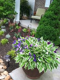 Gardening And Outdoors Garden Containers Garden Yard Ideas Shade Garden Plants