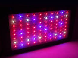 Jul 23, 2021 · apollo horticulture 12w led grow light gives extraordinary led grow lights, and it makes an ideal technique to little plant grower. Apollo Horticulture Gl100led 300w Led Grow Light Review