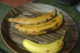 Yellow and brown plantains are softer and sweeter. 4 Healthy Ways To Cook Plantains Delishably