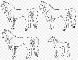 Kühe pferde schweine hähne und hühner schafe aber auch der hund und die lerne wie du in wenigen schritten ein pferd im galopp zeichnen kannst. Pferd Pony Zeichnen Malbuch Malen Pferd Png Herunterladen 1024 795 Kostenlos Transparent Strichzeichnungen Png Herunterladen